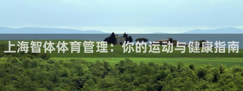 必一体育下载：上海智