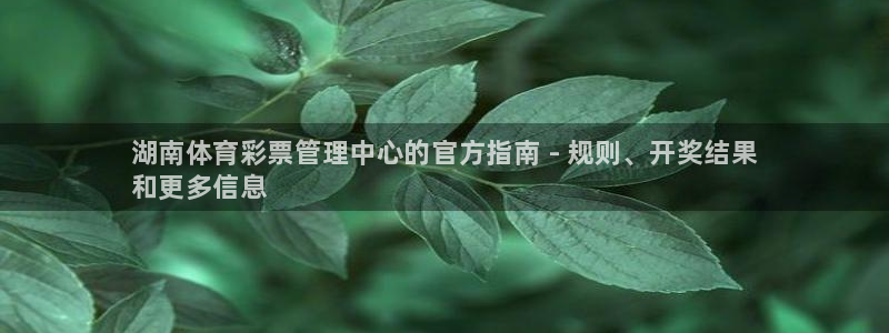 必一体育app下载：湖南体育彩票管理中心的官方指南 - 规则